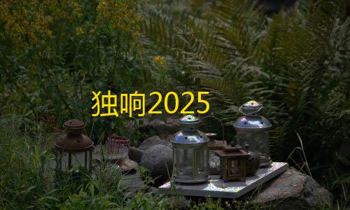 黑悟空手游下载免费安装独响2025