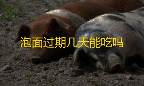 和平精英PC模拟器官网泡面过期几天能吃吗