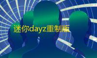迷你dayz重制版